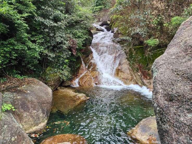 雷竞技比分