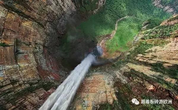 虫虫助手下载